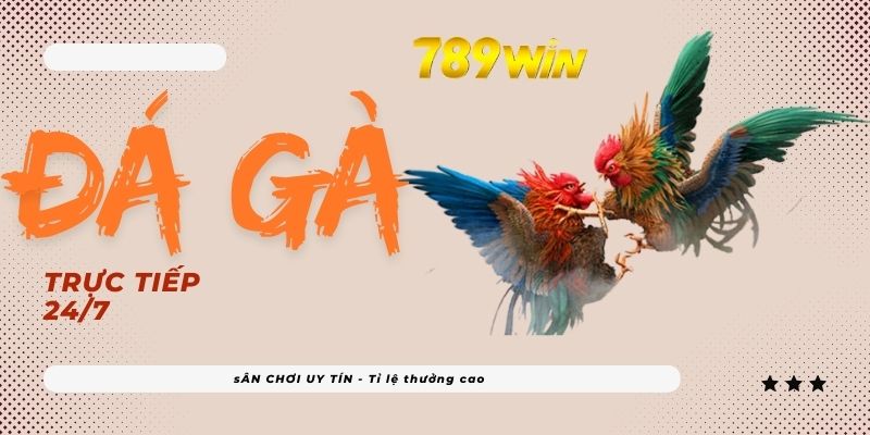 Cách tham gia trò chơi đá gà tại 789win chi tiết.